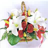 Attached Image