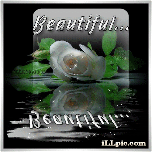 Attached Image