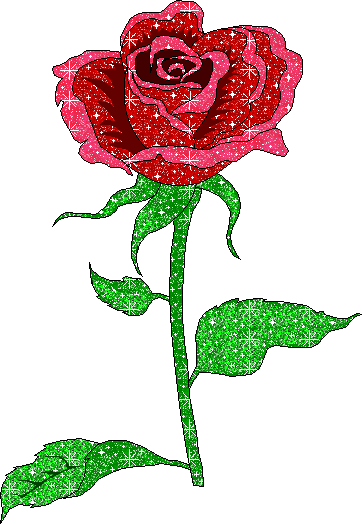 Attached Image