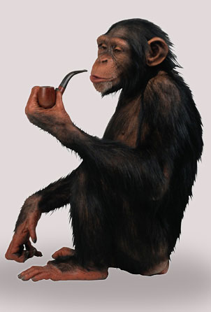 Attached Image