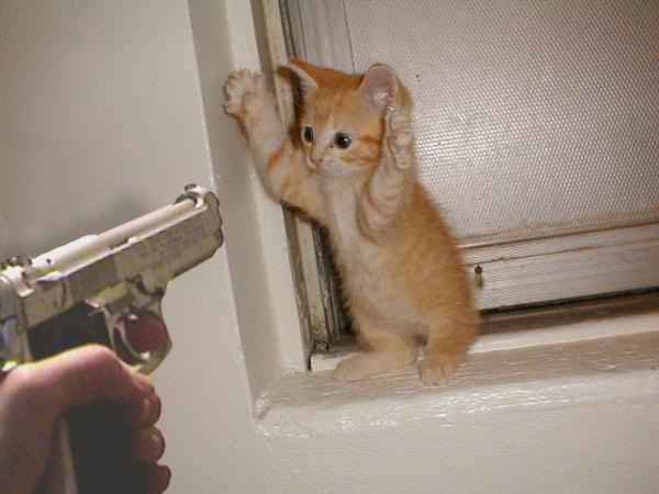 Attached Image