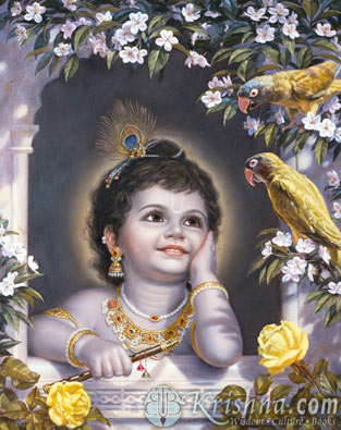 Attached Image