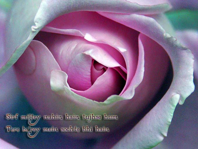 Attached Image